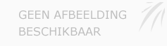 Afbeelding › Fairytale